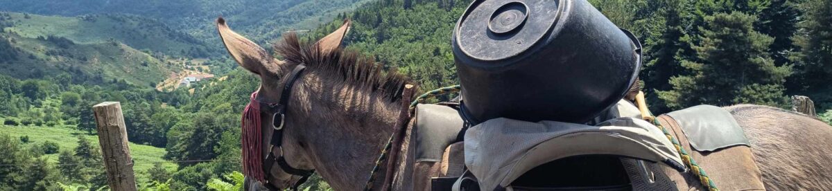 Unterwegs in der Ardèche…